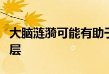 大脑涟漪可能有助于将信息绑定到整个人类皮层