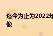 迄今为止为2022年喜剧宠物奖提交的最佳图像